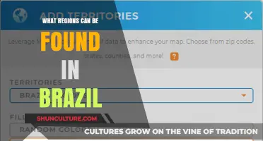 Exploring Brazil's Diverse Regions: A Comprehensive Geographic Overview