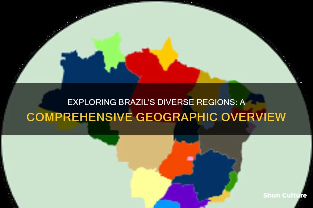 what regions can be found in brazil
