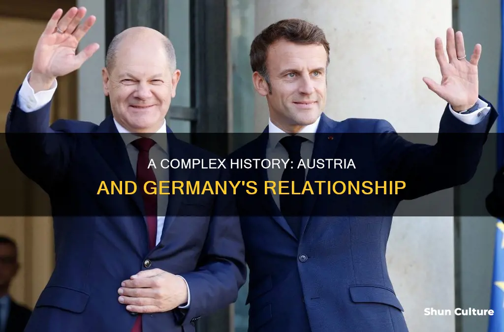 what relationship did austria and germany have