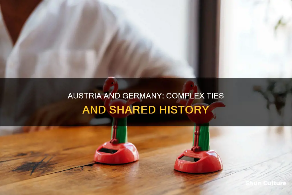what relationship did austria and germany have