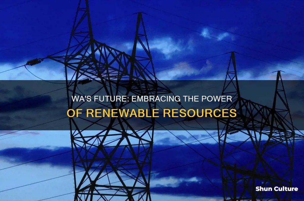 what renewable resource should western australia rely on more