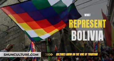 The Rich Cultural Heritage of Bolivia