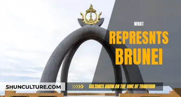 The Unique Cultural Identity of Brunei