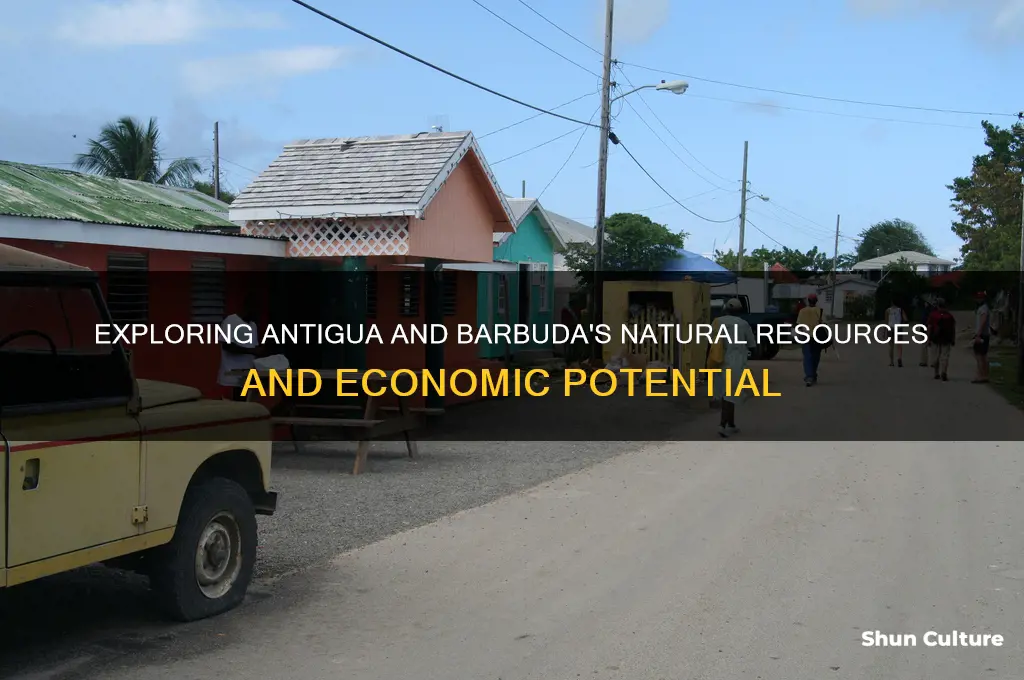 what resources are in antigua and barbuda