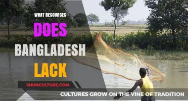 Bangladesh's Resource Gaps: Key Challenges and Urgent Needs Explored