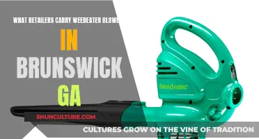 Where to Find Weedeater Blowers in Brunswick, GA?