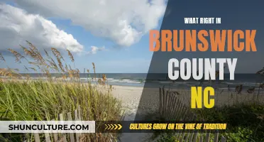 Brunswick County: What's Right?