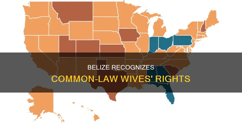 what rights do common law wives have in belize