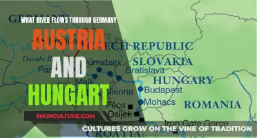 The Danube's Journey: Germany, Austria, and Hungary's Shared River