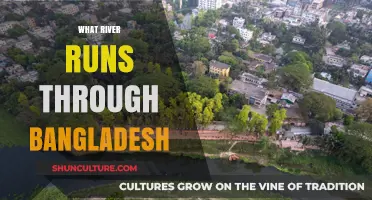 Discovering Bangladesh's Lifeline: The Mighty River That Shapes Its Landscape