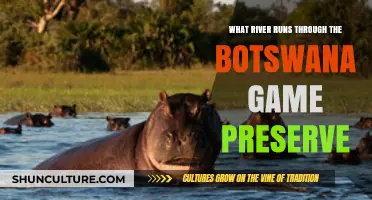 Discovering Botswana's Lifeline: The River Flowing Through Its Game Preserve