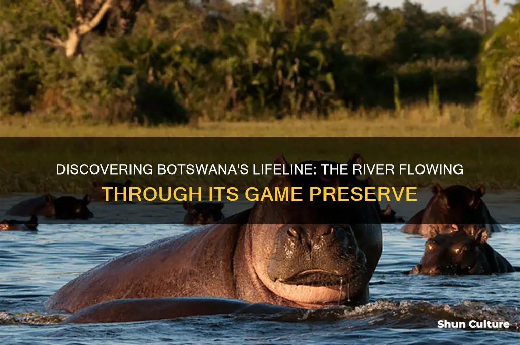 what river runs through the botswana game preserve