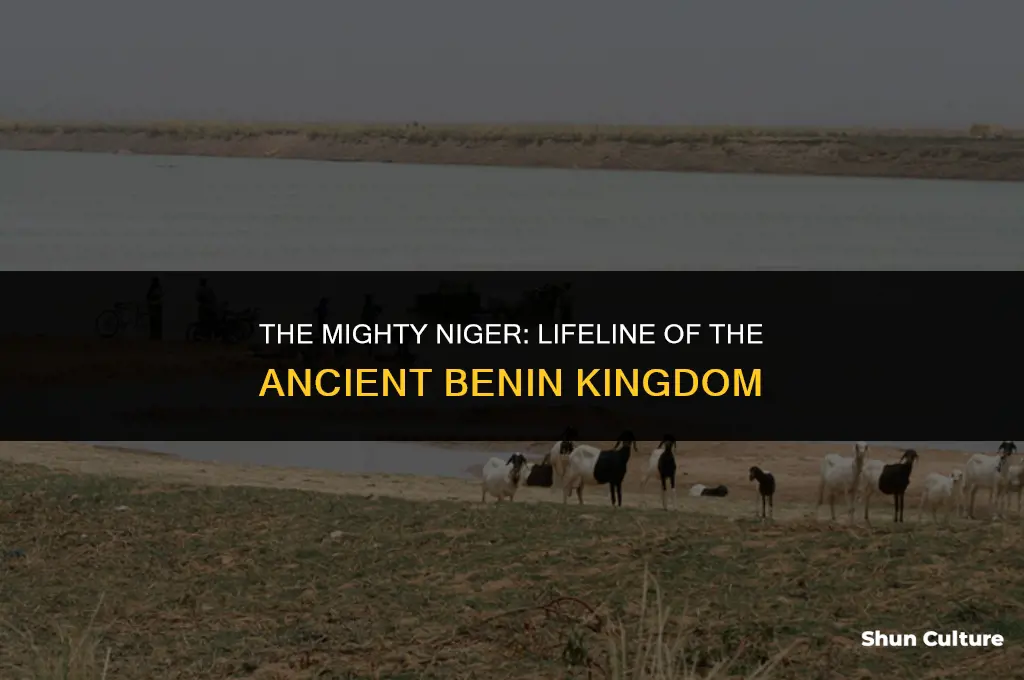 what river was the kingdom of benin near