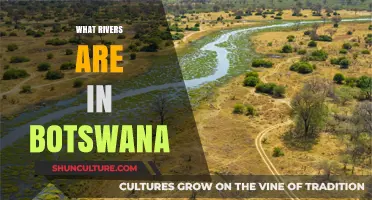 Exploring Botswana's Majestic Rivers: A Guide to Its Lifelines