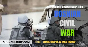 America's Complex Role in the Bosnian Civil War: A Critical Analysis