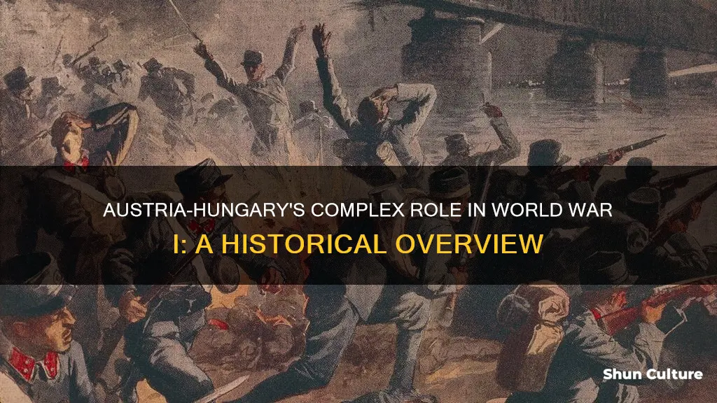 what role did austria hungary play during ww1