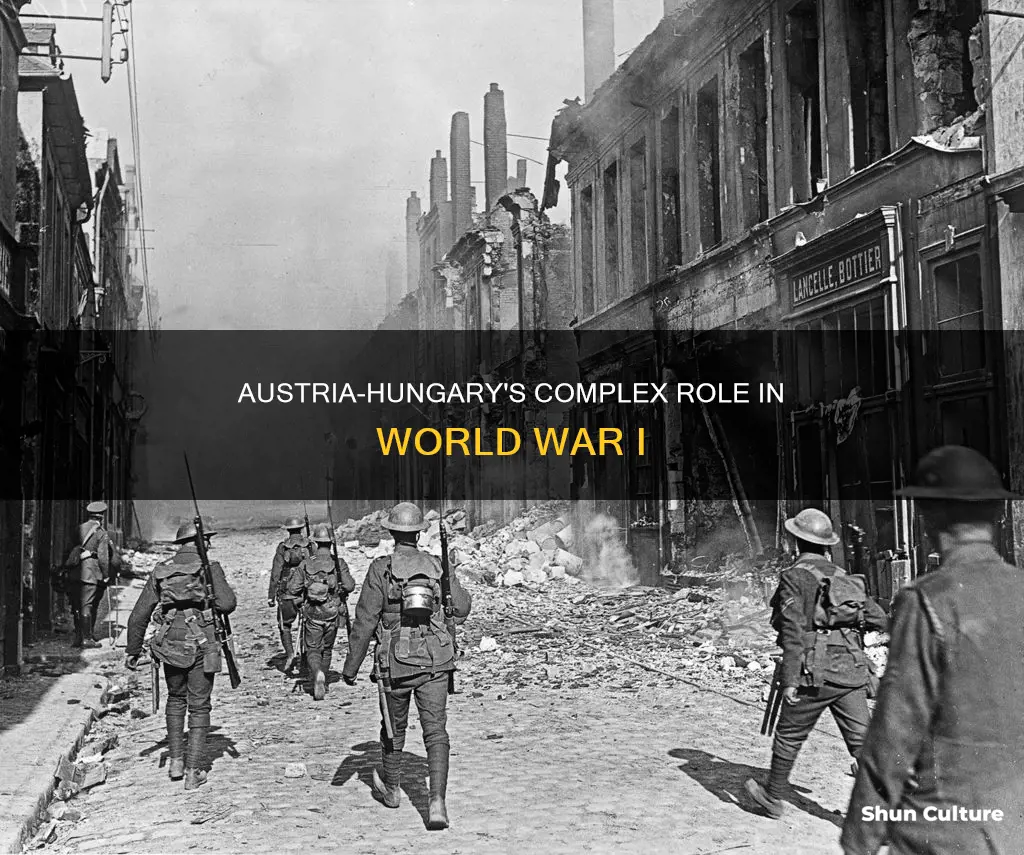 what role did austria hungary play during ww1