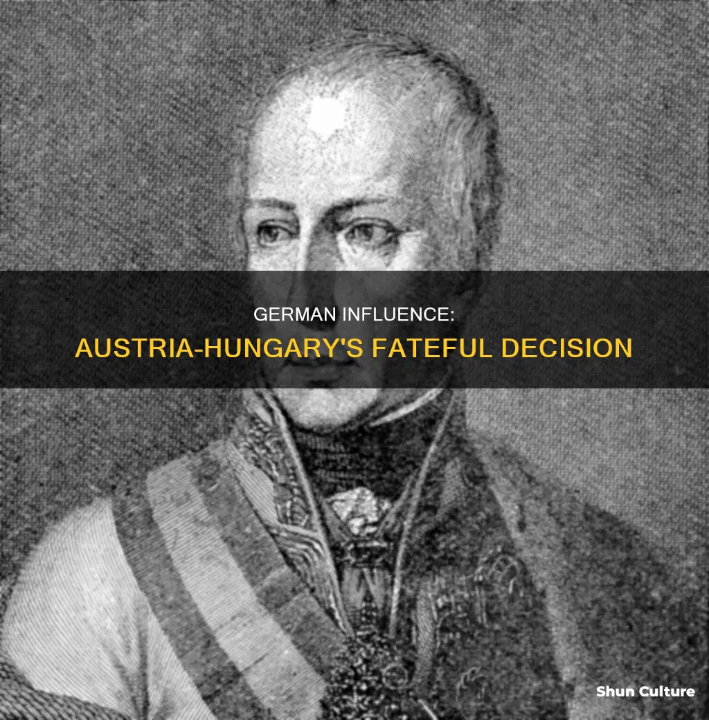 what role did german leaders play in austria-hungary