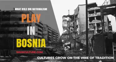 Nationalism's Impact on Bosnia: A Historical and Political Analysis