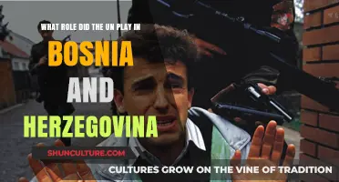 UN's Role in Bosnia and Herzegovina: Peacekeeping and Beyond