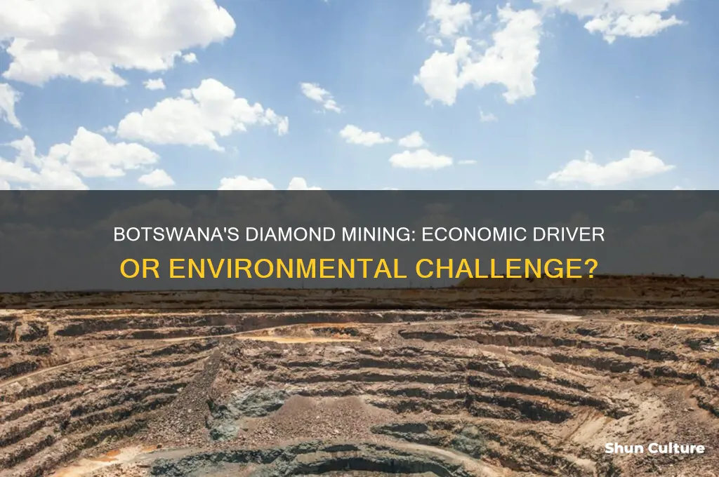 what role does diamond mining play in botswana