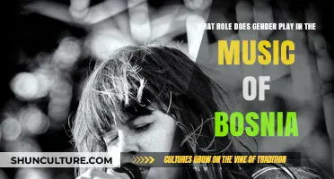 Gender's Influence on Bosnia's Musical Identity and Cultural Expression