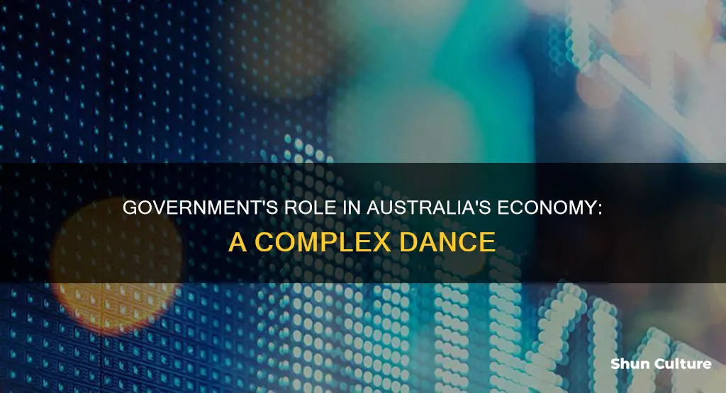 what role does government play in australian economic activity