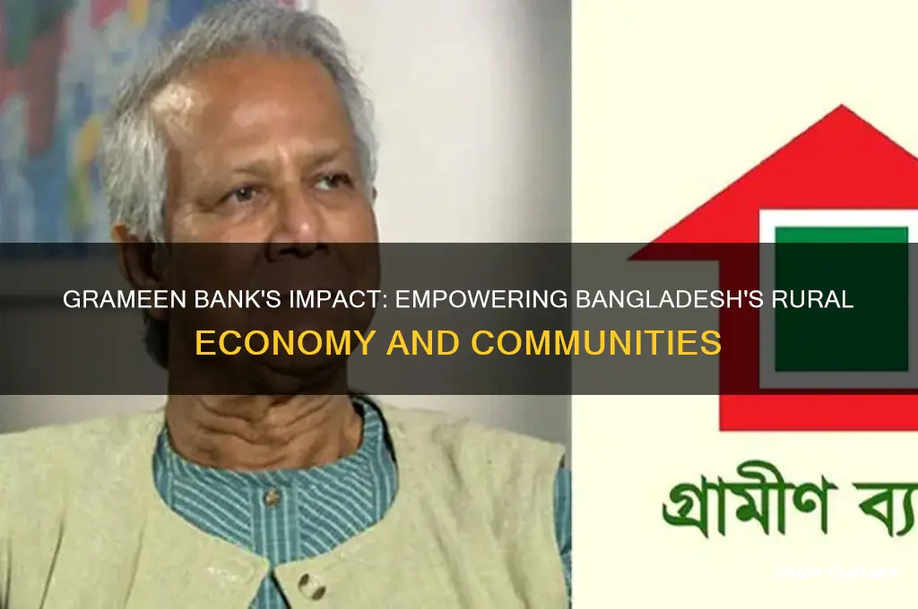 what role does the grameen bank play in bangladesh