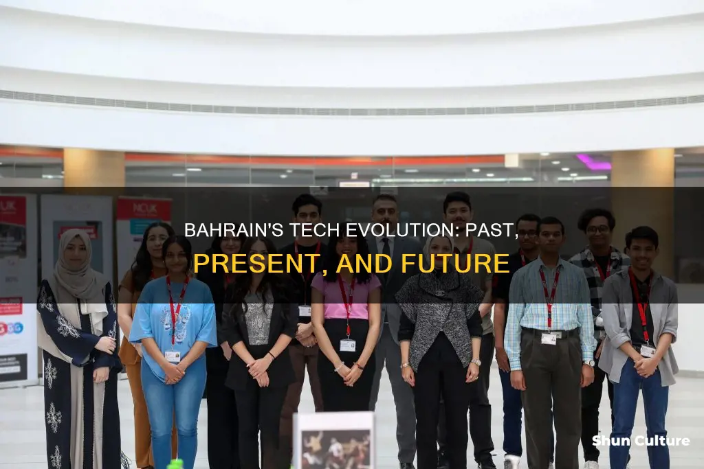 what role has technology taken in bahrain