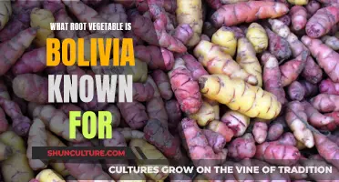 Exploring Bolivia's Beloved Root Vegetable: A Cultural Staple