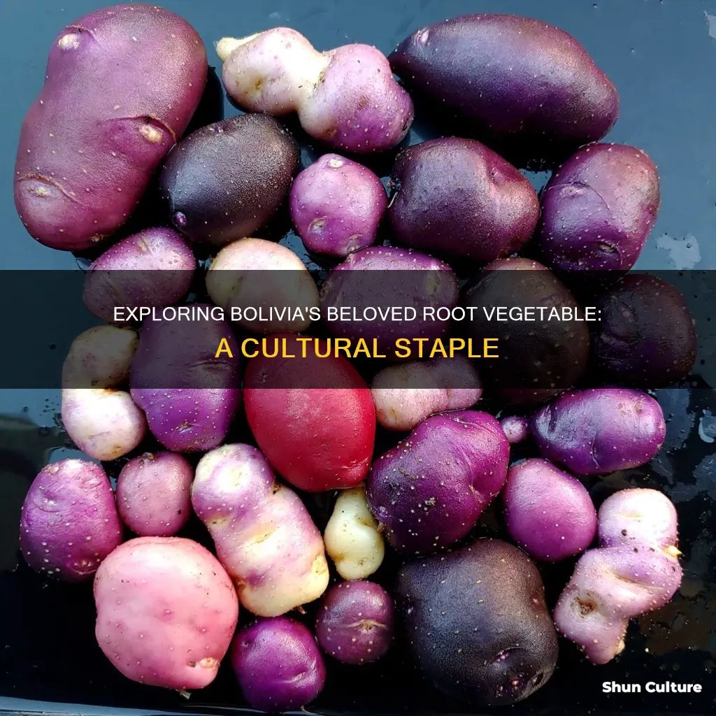 what root vegetable is bolivia known for