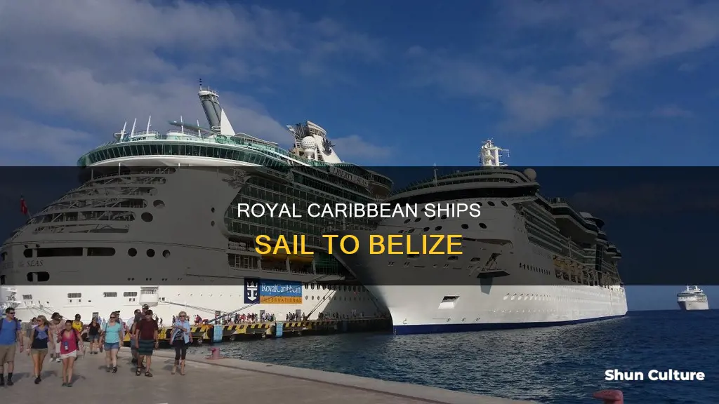 what royal caribbean ship goes to belize