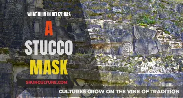 Stucco Mask: Belize's Ancient Mystery