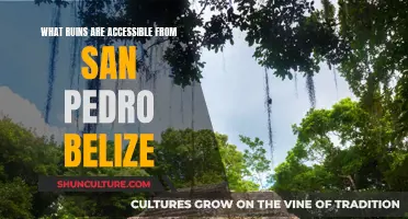 Ruins of Belize: San Pedro's Ancient Wonders