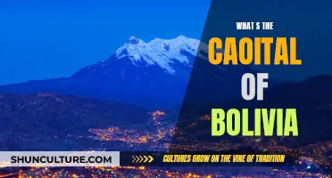 Exploring Bolivia's Capital: A Cultural Journey to La Paz