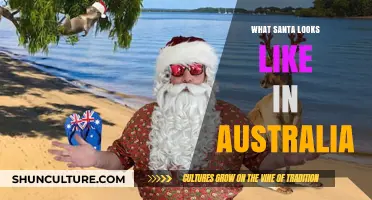 Santa Down Under: Australia's Unique Take on Father Christmas