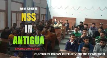 Discovering NSS: Which Antigua School Hosts the Program?