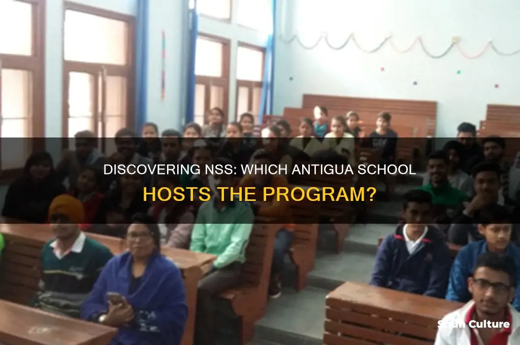 what school is nss in antigua