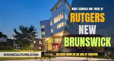 Rutgers New Brunswick: Schools and Colleges