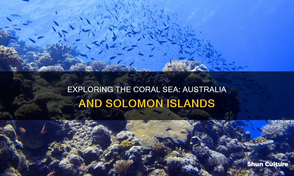 what sea is between australia & the solomon islands
