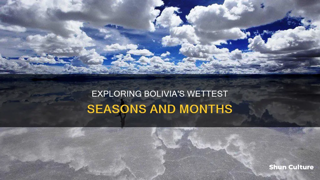 what season does bolivia get most rain