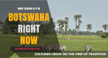 Exploring Botswana's Current Season: Weather, Climate, and Travel Tips