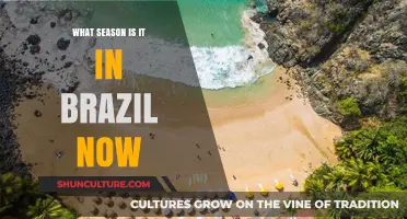 Current Brazilian Season: A Guide to Weather and Climate Today