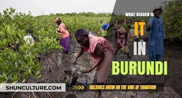 Exploring Burundi's Climate: A Guide to Its Unique Seasons