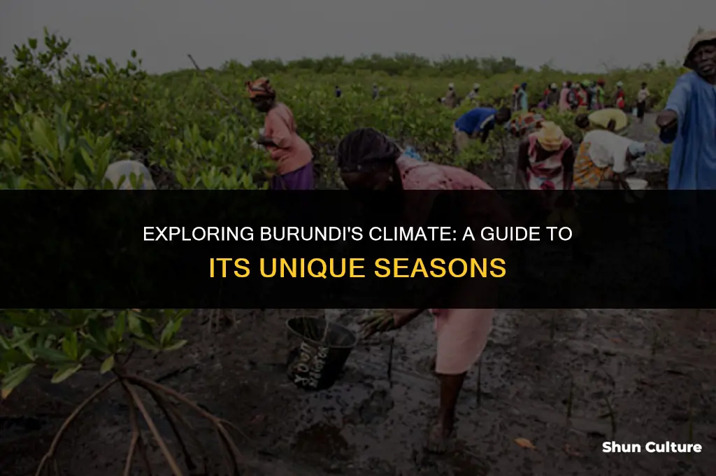 what season is it in burundi