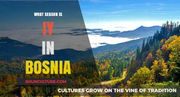 Discovering Bosnia's Climate: What Season Is It Right Now?