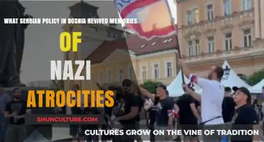 Serbia's Bosnia Policy Rekindles Nazi-Era Trauma and Atrocity Memories