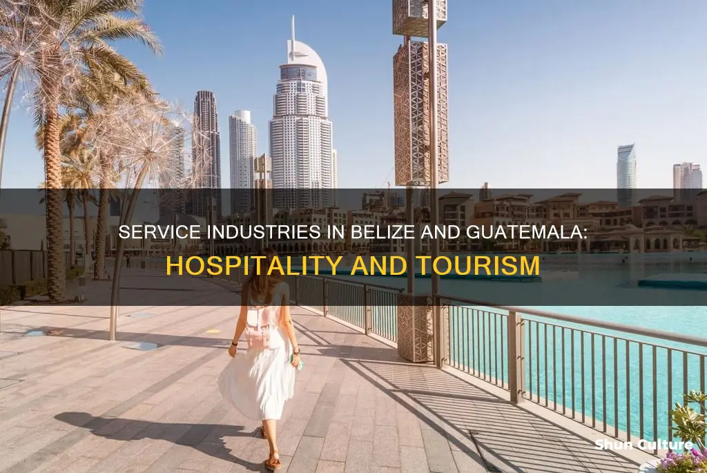 what service industry thrives in belize and gautemala