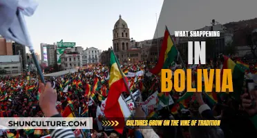 Bolivia's Turbulent Times: Understanding Recent Developments