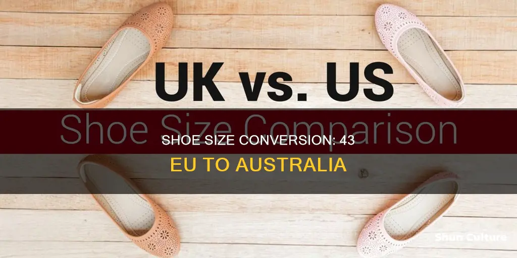 what shoe size is 43 in australia